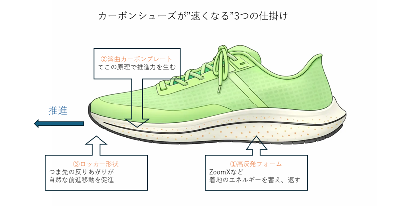 カーボンシューズの解剖図