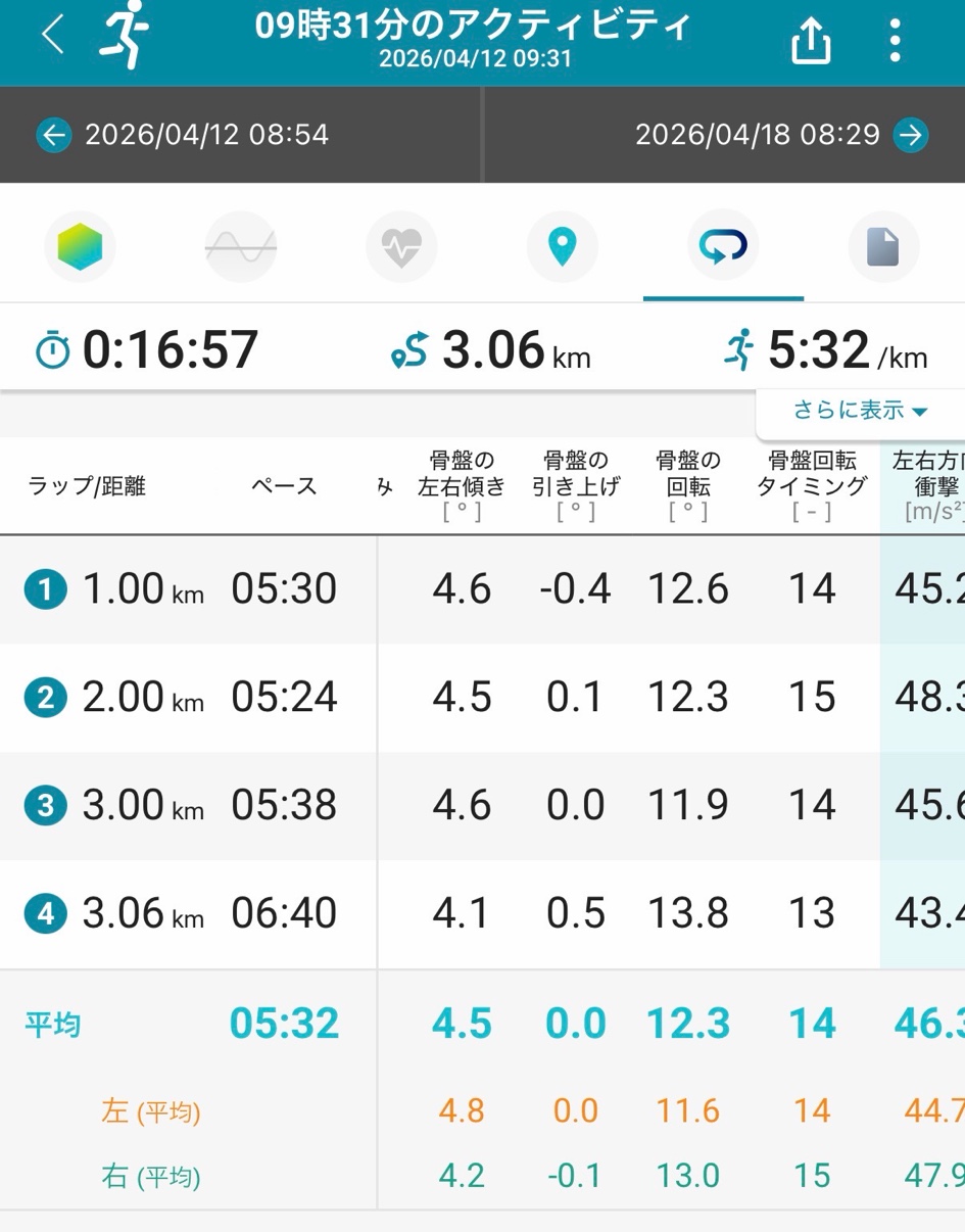 詳細指標2 骨盤の動き